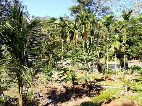 Orchid Bungalow & Restaurant Hotel Timbanglawang Exterior foto